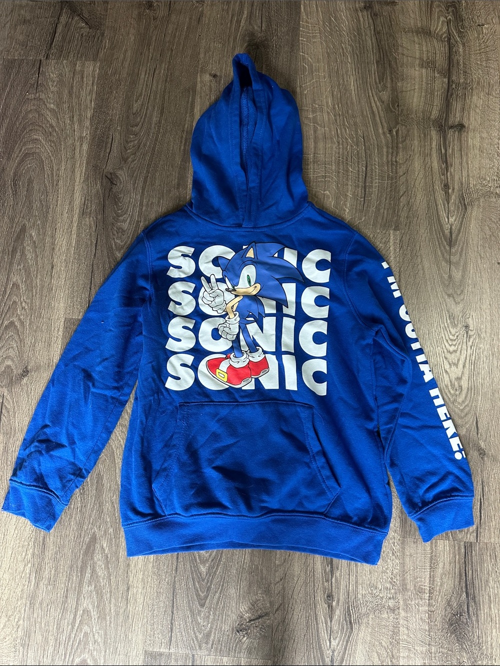 Blue Sonic Graphic Kids Pullover Hoodie - Licensed Character Sweatshirt